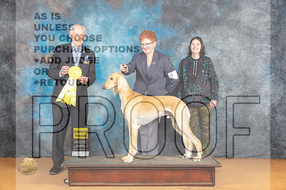 Saluki #5 Sat G3 Judge Dr Norbert Dee_JP_0139_Glen Rose_2024_HR3