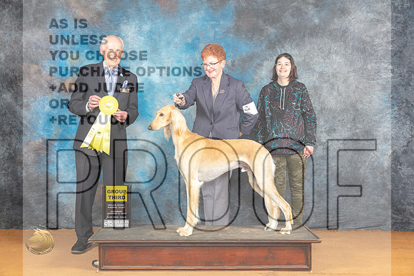 Saluki #5 Sat G3 Judge Dr Norbert Dee_JP_0141_Glen Rose_2024_HR3