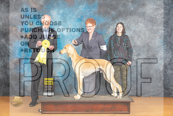 Saluki #5 Sat G3 Judge Dr Norbert Dee_JP_0143_Glen Rose_2024_HR3