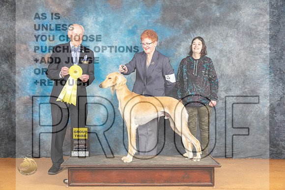 Saluki #5 Sat G3 Judge Dr Norbert Dee_JP_0144_Glen Rose_2024_HR3