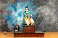 Tibetan Spaniel #19 Sat WDM Judge Carolyn Herbel