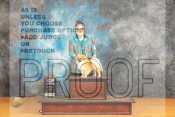 Tibetan Spaniel #19 Sat WDM Judge Carolyn Herbel_JP_0179_Glen Rose_2024_HR3