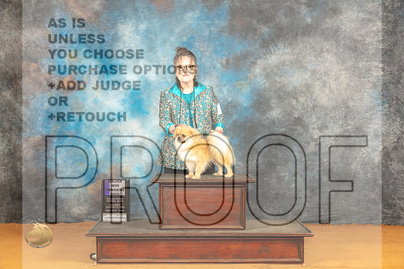 Tibetan Spaniel #19 Sat WDM Judge Carolyn Herbel_JP_0181_Glen Rose_2024_HR3