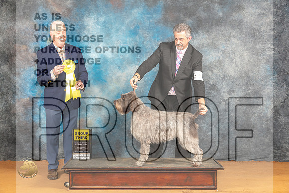 Wirehaired Pointing Griffon #10 Sat G3 Judge Dr Steve Keating_JP_0040_Glen Rose_2024_HR3