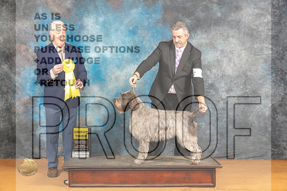 Wirehaired Pointing Griffon #10 Sat G3 Judge Dr Steve Keating_JP_0043_Glen Rose_2024_HR3