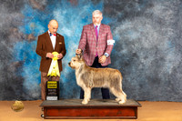 Berger Picard #6 Sat G3 Judge Butch Shulman
