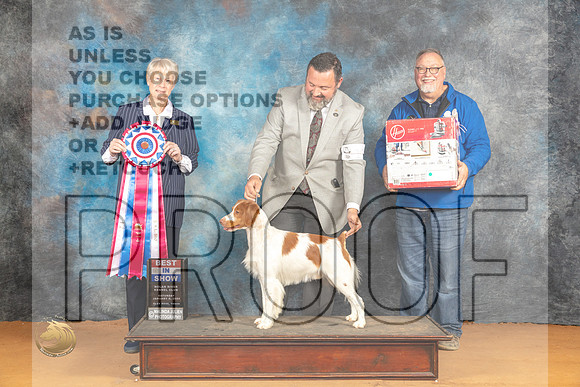Brittany #11 Sat BIS Judge Nena Dee_JP_0422_Glen Rose_2024_HR3