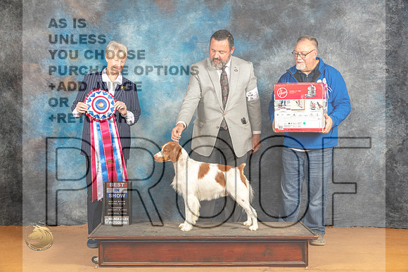 Brittany #11 Sat BIS Judge Nena Dee_JP_0433_Glen Rose_2024_HR3