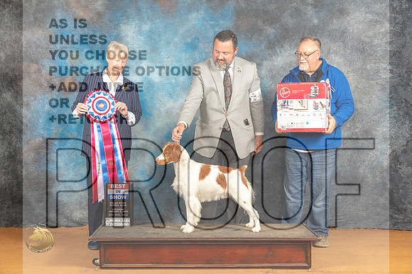 Brittany #11 Sat BIS Judge Nena Dee_JP_0436_Glen Rose_2024_HR3