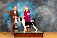 Canaan Dog #5 Sat G4 Judge Butch Shulman