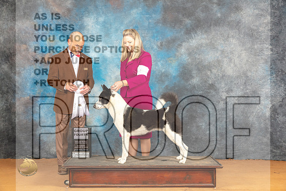 Canaan Dog #5 Sat G4 Judge Butch Shulman_JP_0368_Glen Rose_2024_HR3