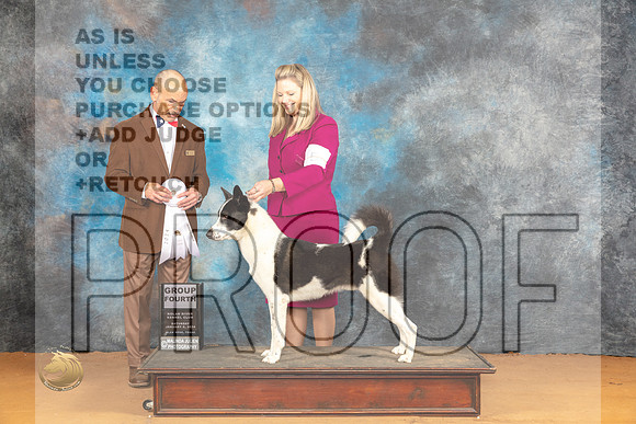 Canaan Dog #5 Sat G4 Judge Butch Shulman_JP_0371_Glen Rose_2024_HR3