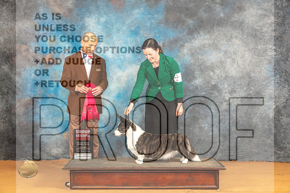Cardigan Welsh Corgi #18 Sat G2 Judge Butch Shulman_JP_0366_Glen Rose_2024_HR3