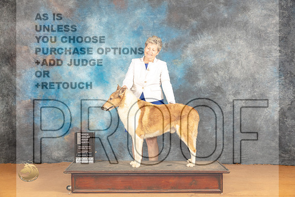 Collie Rough #5 Sat BOVOHB4 Judge Dr Steve Keating_JP_0403_Glen Rose_2024_HR3