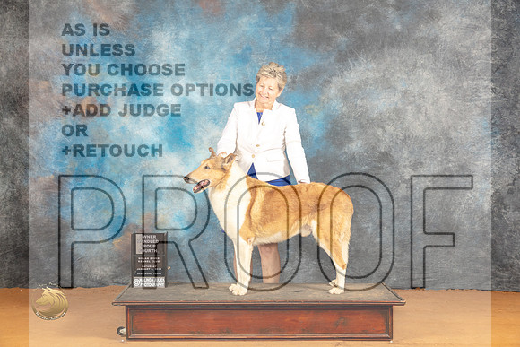 Collie Rough #5 Sat BOVOHB4 Judge Dr Steve Keating_JP_0406_Glen Rose_2024_HR3