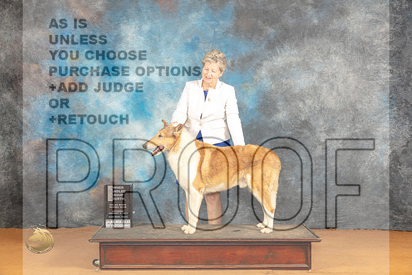 Collie Rough #5 Sat BOVOHB4 Judge Dr Steve Keating_JP_0407_Glen Rose_2024_HR3