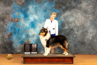 Collie Rough #7 Sat WDBOWBOVCH Judge Edy Dykstra-Blum