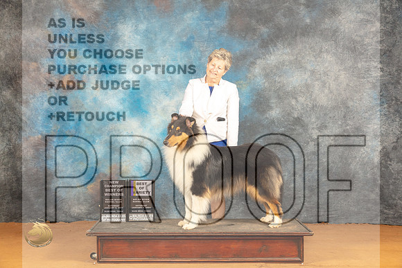 Collie Rough #7 Sat WDBOWBOVCH Judge Edy Dykstra-Blum_JP_0463_Glen Rose_2024_HR3
