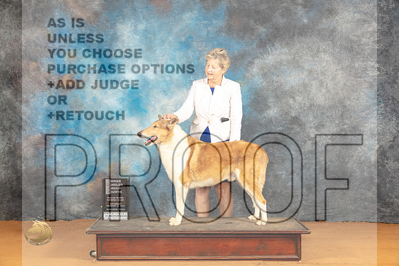 Collie Smooth #5 Sat OHG4 Judge Edy Dykstra-Blum r_JP_0455_Glen Rose_2024_HR3