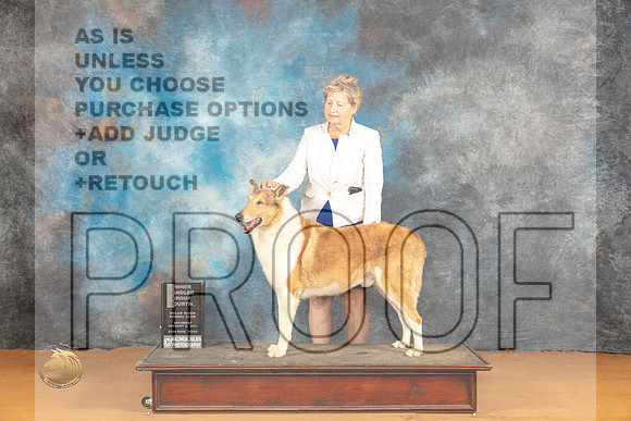 Collie Smooth #5 Sat OHG4 Judge Edy Dykstra-Blum r_JP_0456_Glen Rose_2024_HR3