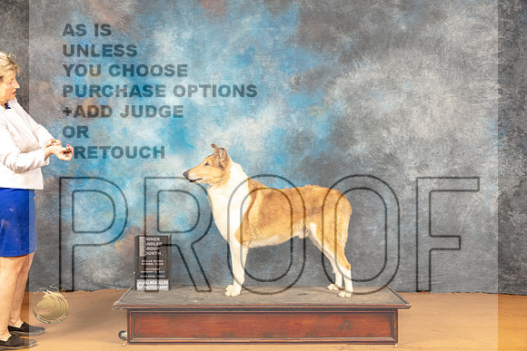 Collie Smooth #5 Sat OHG4 Judge Edy Dykstra-Blum r_JP_0459_Glen Rose_2024_HR3