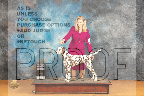 Dalmatian #14 Sat G4 Judge Pat Trotter_JP_0411_Glen Rose_2024_HR3
