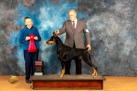 Doberman Pinscher #15 Sat G2 Judge Carolyn Herbel