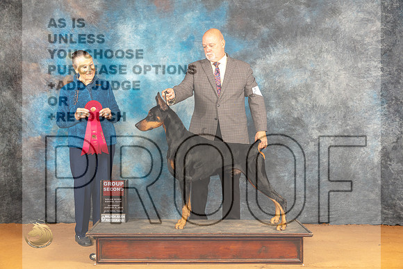 Doberman Pinscher #15 Sat G2 Judge Carolyn Herbel _JP_0308_Glen Rose_2024_HR3