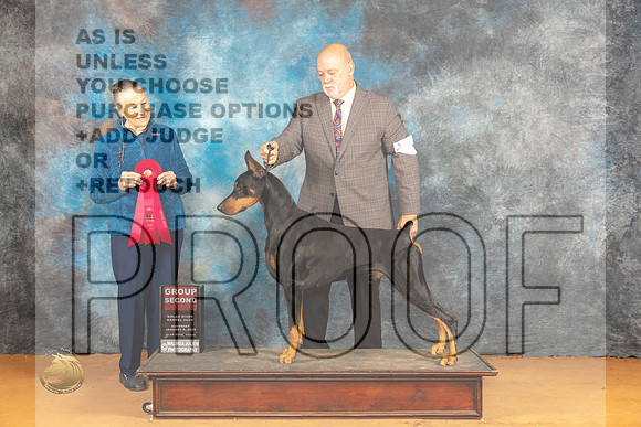 Doberman Pinscher #15 Sat G2 Judge Carolyn Herbel _JP_0312_Glen Rose_2024_HR3