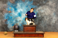 English Toy #7 Sat BOBBOW Judge Pat Trotter