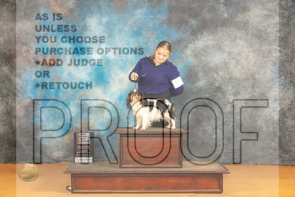 English Toy #7 Sat BOBBOW Judge Pat Trotter_JP_0378_Glen Rose_2024_HR3
