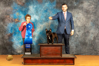 French Bulldog #35 Sat G1 Judge Pat Trotter