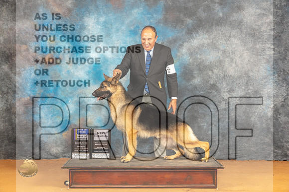German Shepherd Dog #18 Sat WDBOWBOBMCH Judge Edy Dykstra-Blum_JP_0287_Glen Rose_2024_HR3
