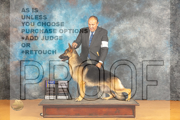 German Shepherd Dog #18 Sat WDBOWBOBMCH Judge Edy Dykstra-Blum_JP_0288_Glen Rose_2024_HR3