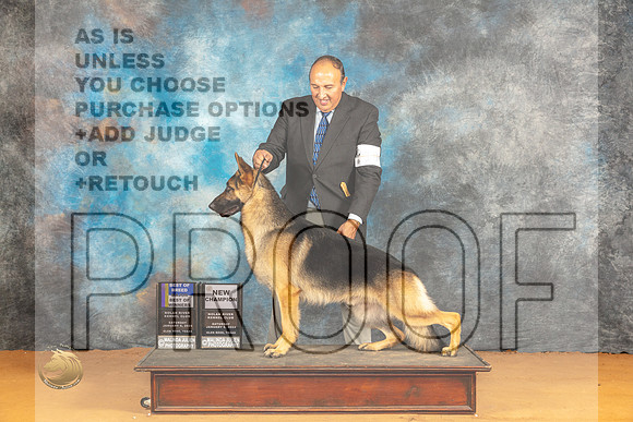 German Shepherd Dog #18 Sat WDBOWBOBMCH Judge Edy Dykstra-Blum_JP_0289_Glen Rose_2024_HR3