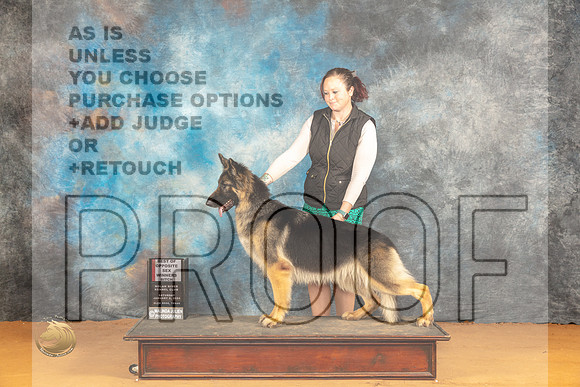 German Shepherd Dog #6 Sat WBBOS Judge Edy Dykstra-Blum_JP_0324_Glen Rose_2024_HR3