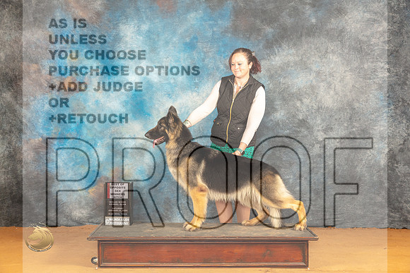 German Shepherd Dog #6 Sat WBBOS Judge Edy Dykstra-Blum_JP_0326_Glen Rose_2024_HR3