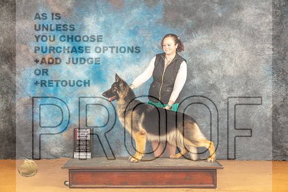 German Shepherd Dog #6 Sat WBBOS Judge Edy Dykstra-Blum_JP_0327_Glen Rose_2024_HR3