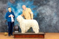 Komondor #5 Sat G4 Judge Carolyn Herbel