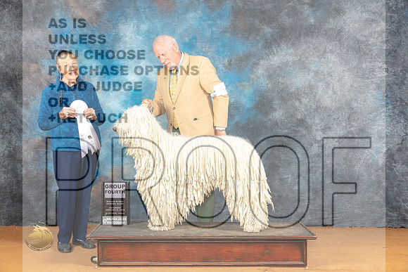 Komondor #5 Sat G4 Judge Carolyn Herbel_JP_0315_Glen Rose_2024_HR3