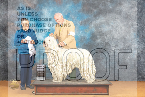 Komondor #5 Sat G4 Judge Carolyn Herbel_JP_0318_Glen Rose_2024_HR3