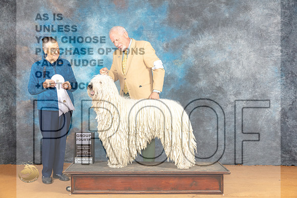 Komondor #5 Sat G4 Judge Carolyn Herbel_JP_0319_Glen Rose_2024_HR3