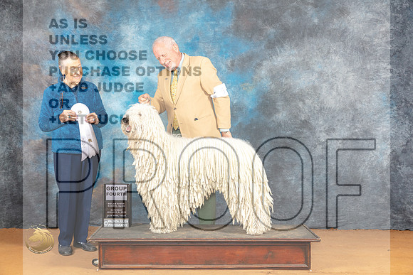 Komondor #5 Sat G4 Judge Carolyn Herbel_JP_0320_Glen Rose_2024_HR3