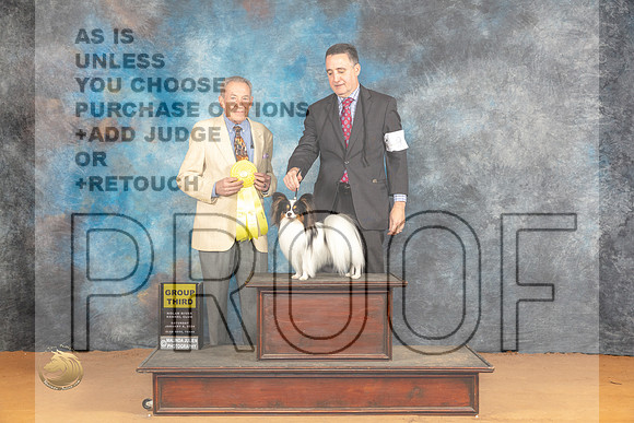 Papillon #9 Sat G3 Judge Desmond Murphy_JP_0390_Glen Rose_2024_HR3