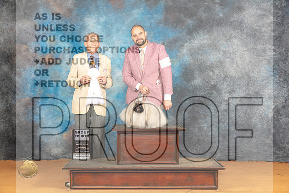Pekingese #20 Sat G4 Judge Desmond Murphy_JP_0399_Glen Rose_2024_HR3