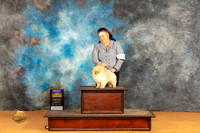 Pomeranian #11 Sat BOB Judge Nena Dee