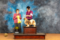 Tibetan Spaniel #5 Sat G3 Judge Pat Trotter