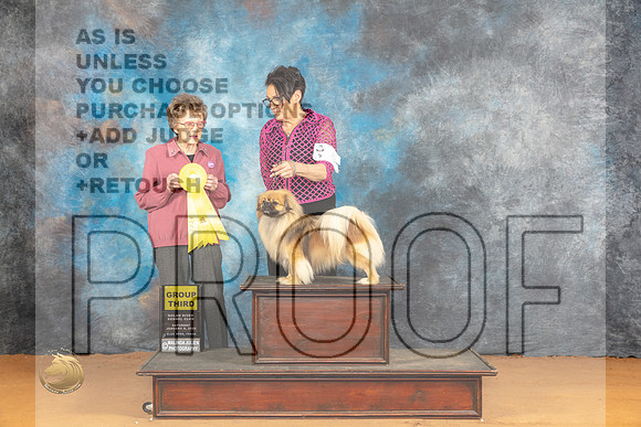 Tibetan Spaniel #5 Sat G3 Judge Pat Trotter_JP_0270_Glen Rose_2024_HR3