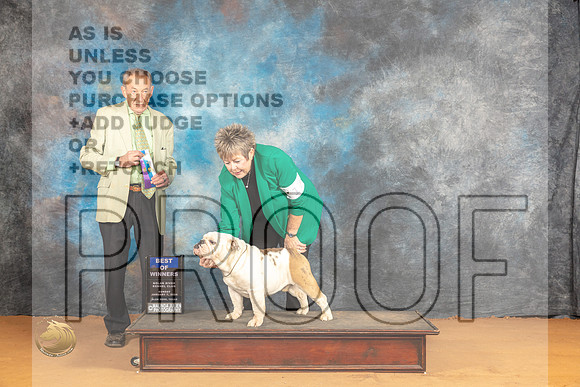 Bulldog #17 Sun BOW Judge Desmond Murphy_JP_0683_Glen Rose_2024_HR3