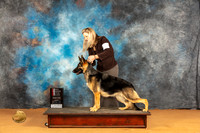 German Shepherd Dog #18 Sun WBBOSM Judge Butch Shulman